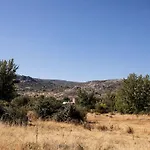 El Gavilan