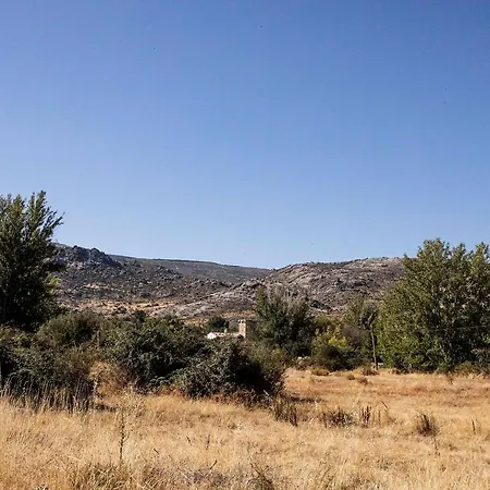 El Gavilan